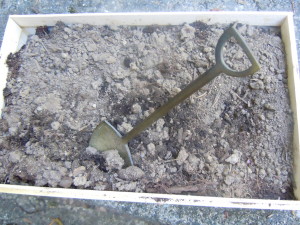 Soft Skills-Speak for Success